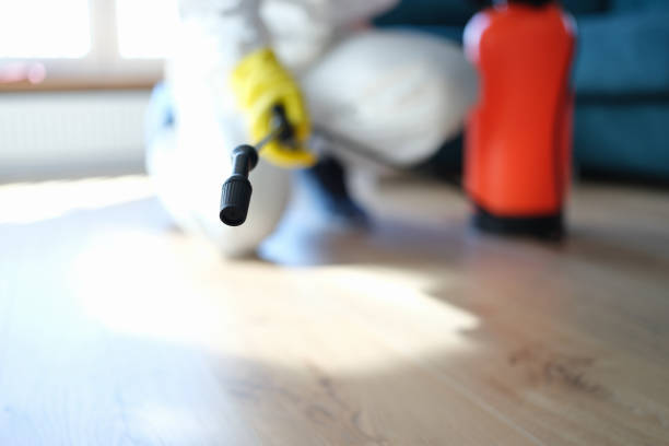 Best Post-Remediation Verification Testing  in Rancho Mission Viejo, CA
