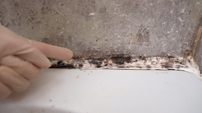 Best Post-Construction Mold Inspection  in Rancho Mission Viejo, CA